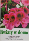 Kwiaty w domu