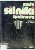 Małe silniki spalinowe