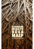Zaginione Miasto Boga Małp