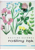 Rośliny łąk. Atlas