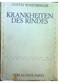 Krankheiten des Rindes