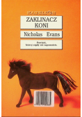 Zaklinacz koni