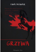 Grzywa