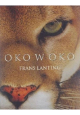 Oko w oko