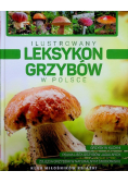 Ilustrowany leksykon grzybów w Polsce