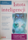 Istota inteligencji