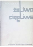 Żeliwo ciągliwe
