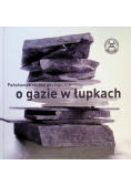 Państwowa służba geologiczna o gazie w łupkach