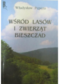 Wśród lasów i zwierząt Bieszczad