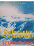 Żeglowanie w warunkach sztormowych