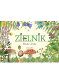 Zielnik Runo leśne