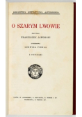 O szarym Lwowie, 1917 r.