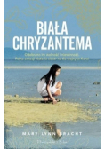 Biała chryzantema