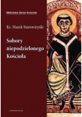 Sobory niepodzielonego Kościoła