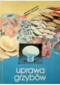 Uprawa grzybów