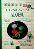 Lecznicza siła aloesu