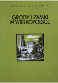 Grody i zamki w Wielkopolsce