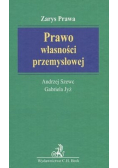 Prawo własności przemysłowej