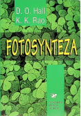 Fotosynteza