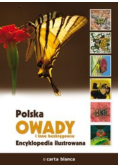 Polska - Owady i inne bezkręgowce: encyklopedia ilustrowana
