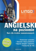 Angielski na poziomie