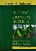 Uleczyć zranione uczucia
