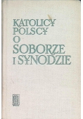 Katolicy polscy o soborze i synodzie