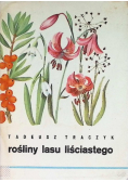Rośliny lasu liściastego Atlas