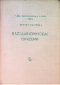 Bacillariophyceae Okrzemki