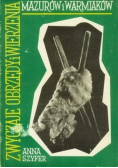 Zwyczaje obrzędy i wierzenia mazurów i warmiaków
