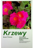 Krzewy