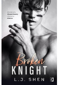 Broken Knight