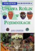 Uprawa roślin w pojemnikach