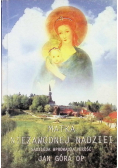 Matka Niezawodnej Nadziei