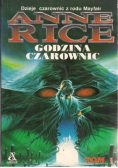 Godzina czarownic Tom 2