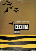 Cecora rok 1620
