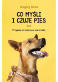 Co myśli i czuje pies