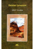 Żółty tulipan
