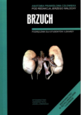 Anatomia prawidłowa człowieka brzuch