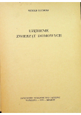 Uzębienie zwierząt domowych