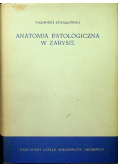 Anatomia patologiczna w zarysie