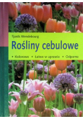 Rośliny cebulowe