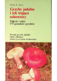 Grzyby jadalne i ich trujące sobowtóry