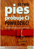 Co Twój pies próbuje Ci powiedzieć Poznaj tajemnice psiej psychologii