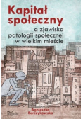 Kapitał społeczny a zjawiska patologii społecznej w wielkim mieście