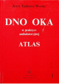 Dno oka