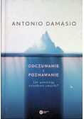Odczuwanie i poznawanie