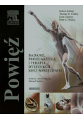 Powięź Badanie profilaktyka i terapia dysfunkcji sieci powięziowej