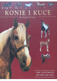 Konie i kuce Kompendium
