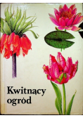 Kwitnący ogród
